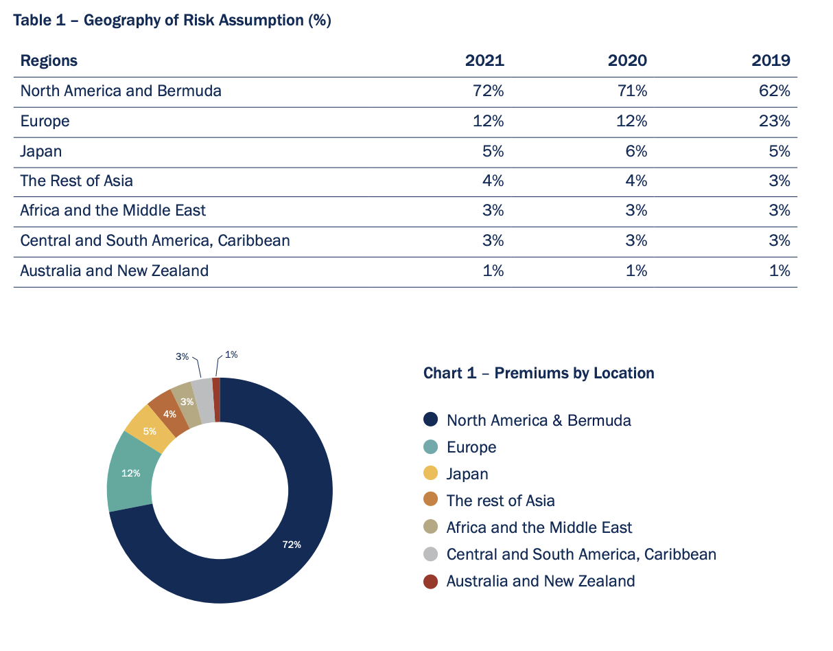 Geography of Risk Assumption Pie Chart